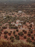 Wide shot of an olive mill facility with multiple machines in operation.