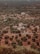 An aerial view of an expansive landscape featuring numerous olive trees scattered across a dry, slightly reddish-brown terrain. In the center, there are several small buildings with one notable structure having a red accent on its exterior. The vegetation is dense in some areas and sparse in others, suggesting a natural distribution across the land.
