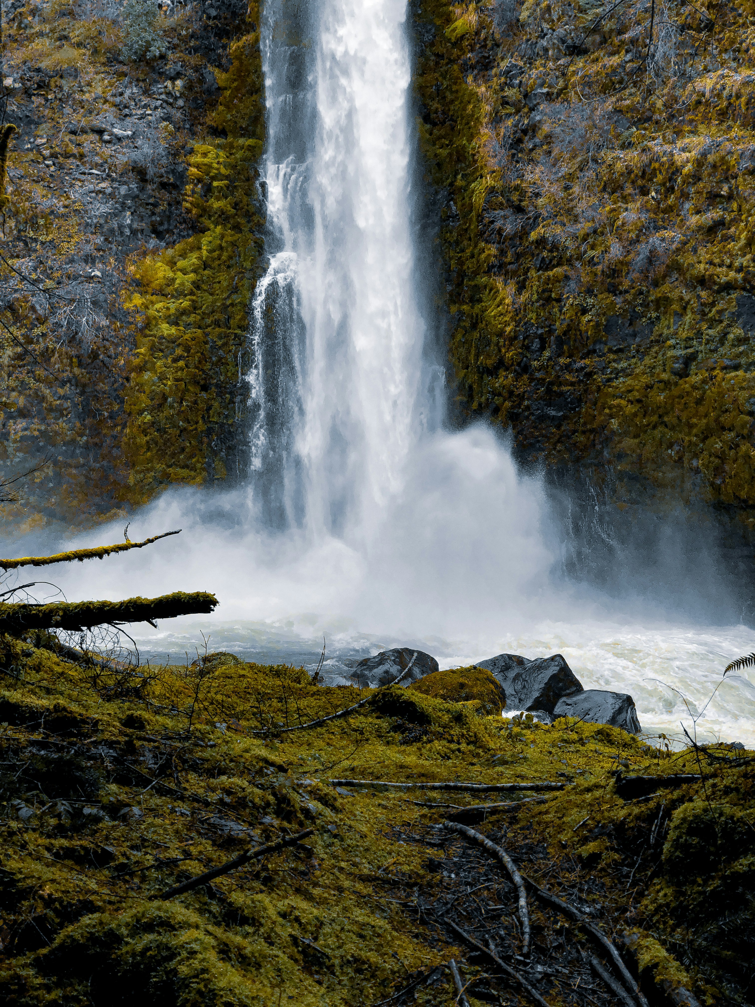 Photo by usualmorals