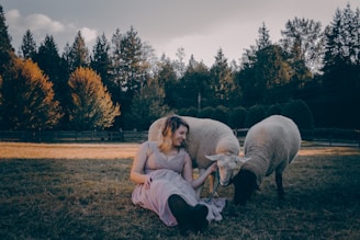 A woman in a lavender dress sits on a grassy field, gently interacting with two sheep. The scene is set against a backdrop of a forest with autumn-colored foliage. The lighting is soft, suggesting late afternoon or early evening.