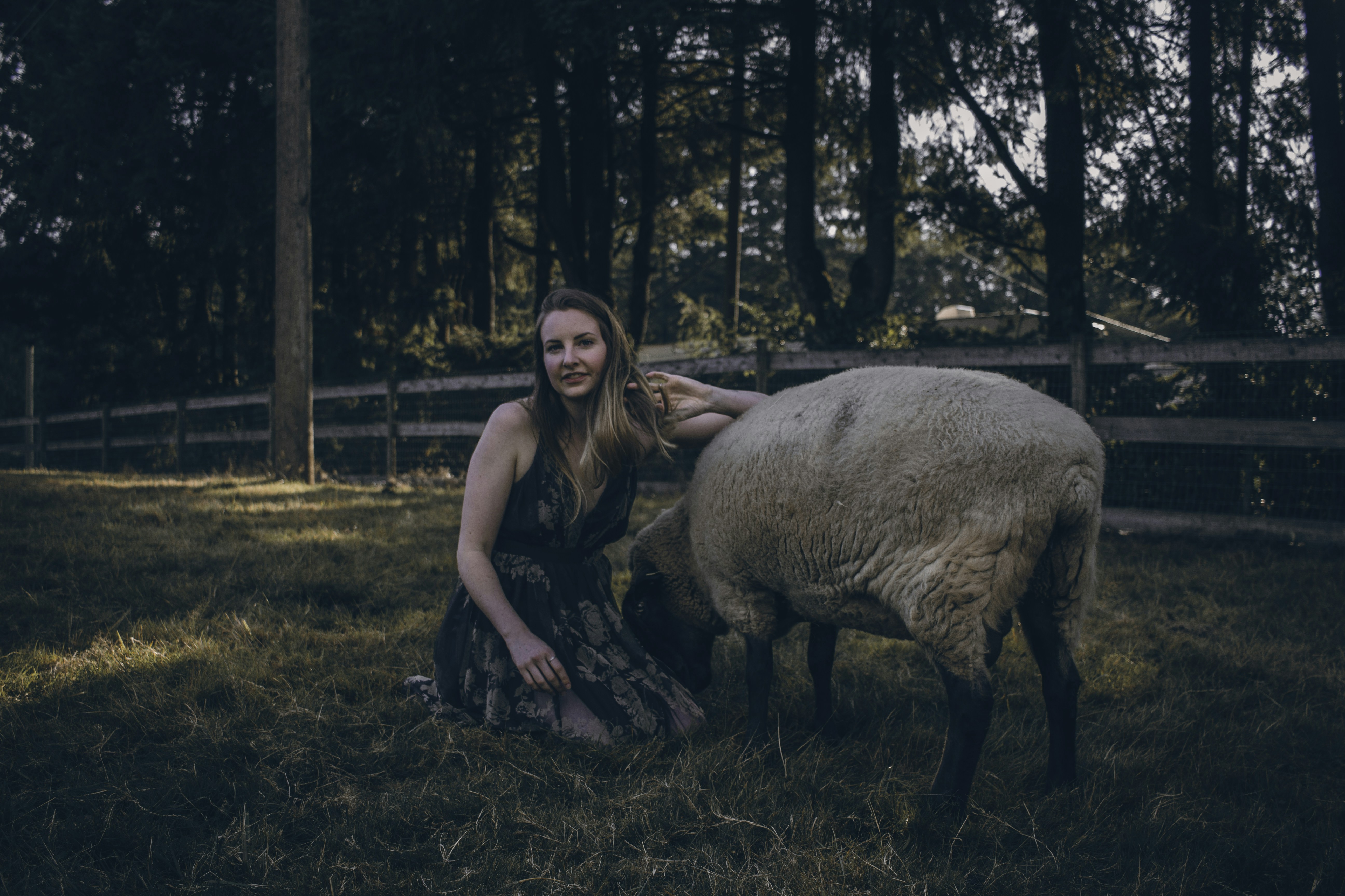 woman beside brown animal