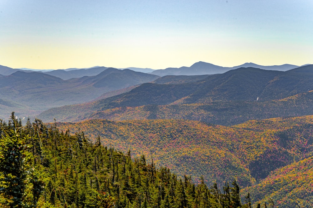 landscape of green mountains