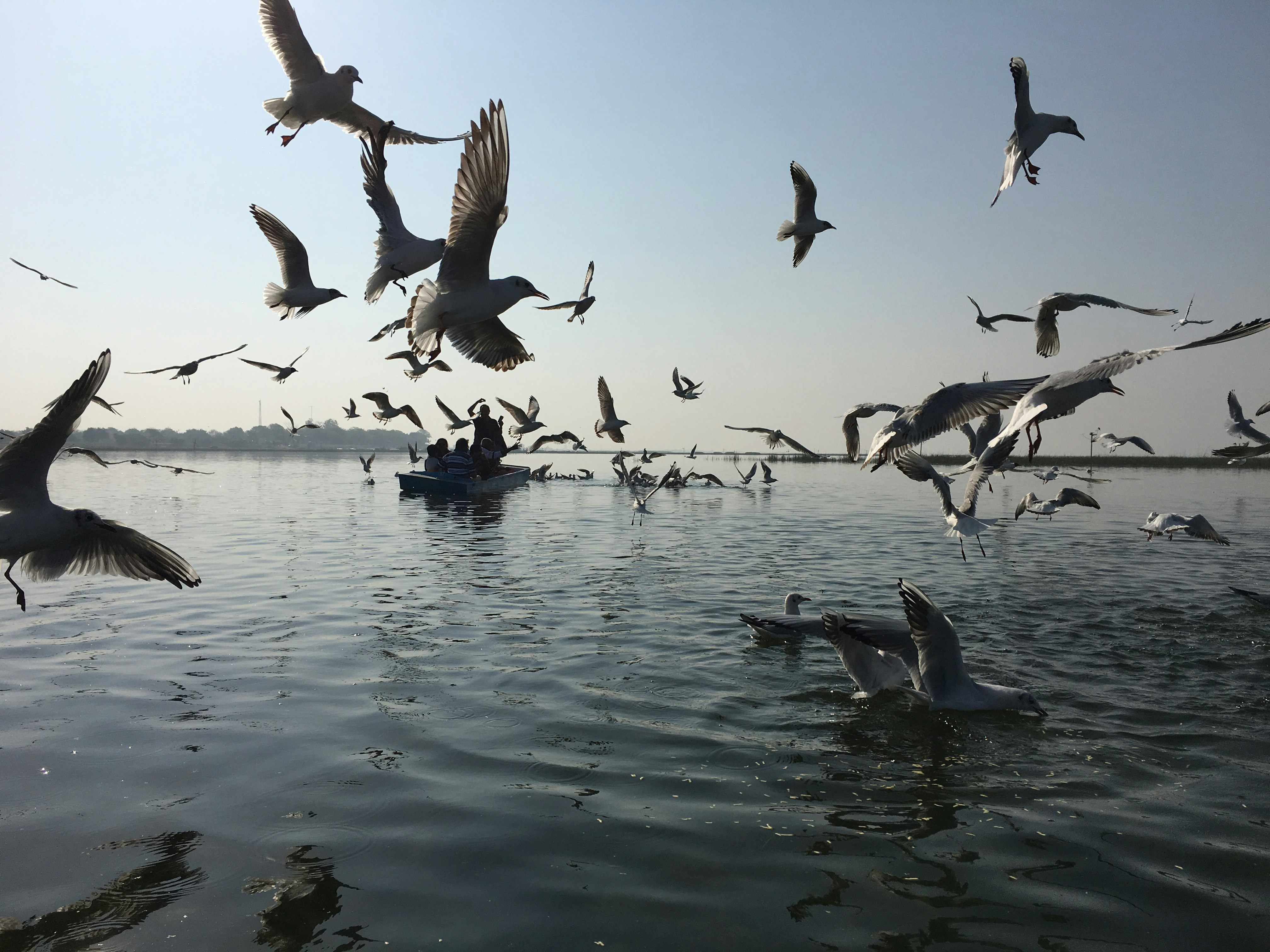 Photo by dhwanimehta