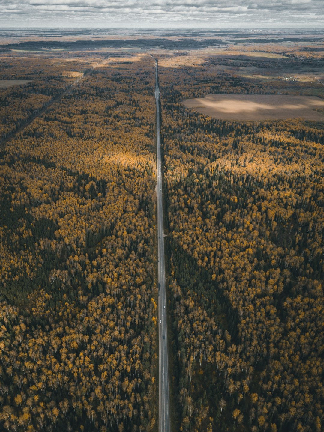 travelers stories about Tundra in Dunilovo, Russia