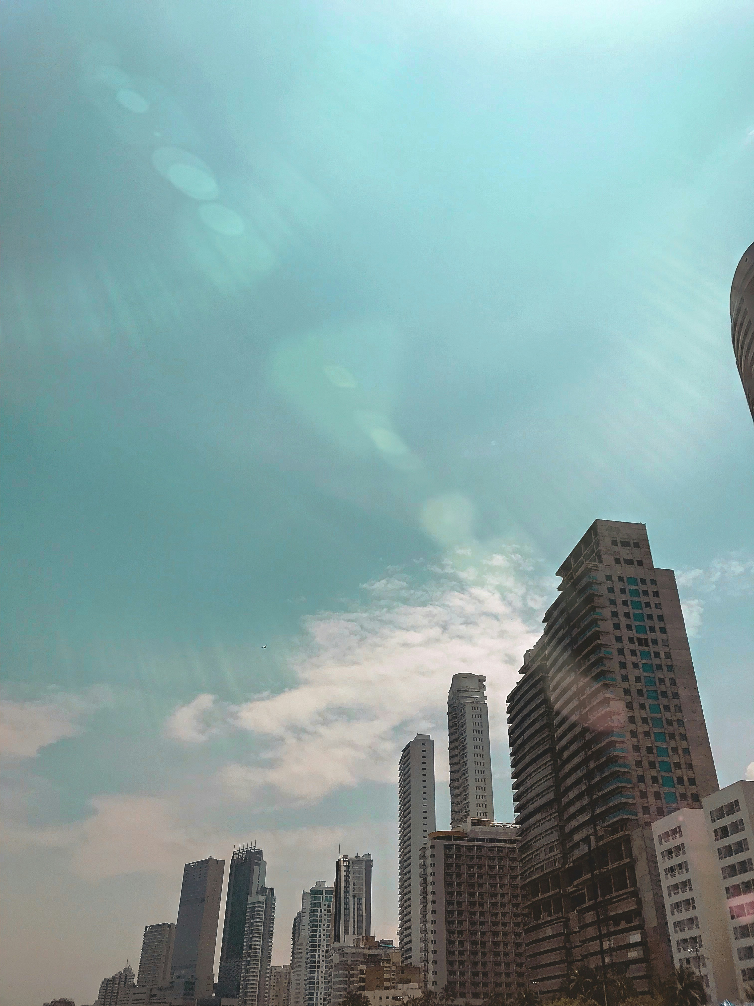 Photo by michellexcal