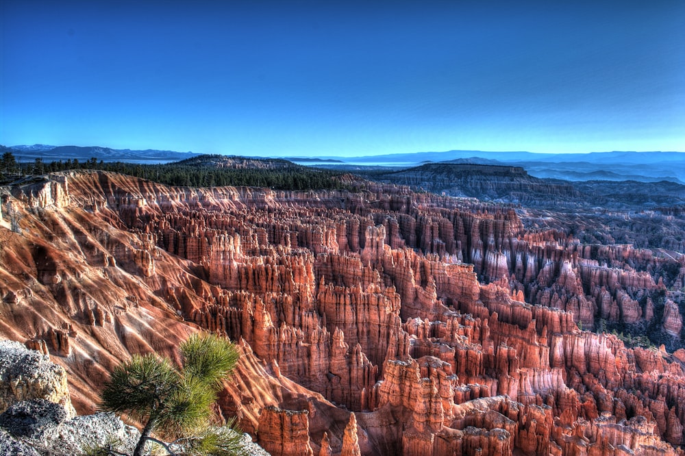 aerial view of canyon