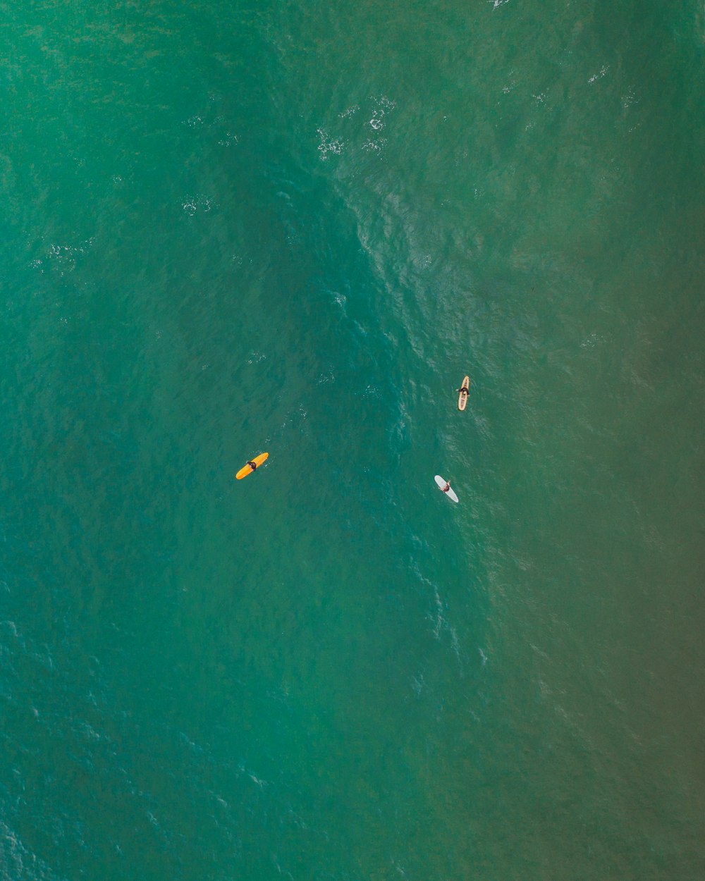 Eine Gruppe von Leuten, die Surfbretter auf einem großen Gewässer reiten