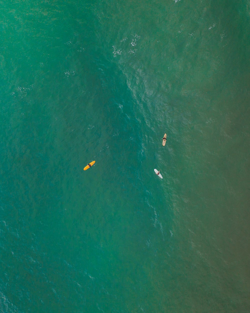 a group of people riding surfboards on top of a large body of water