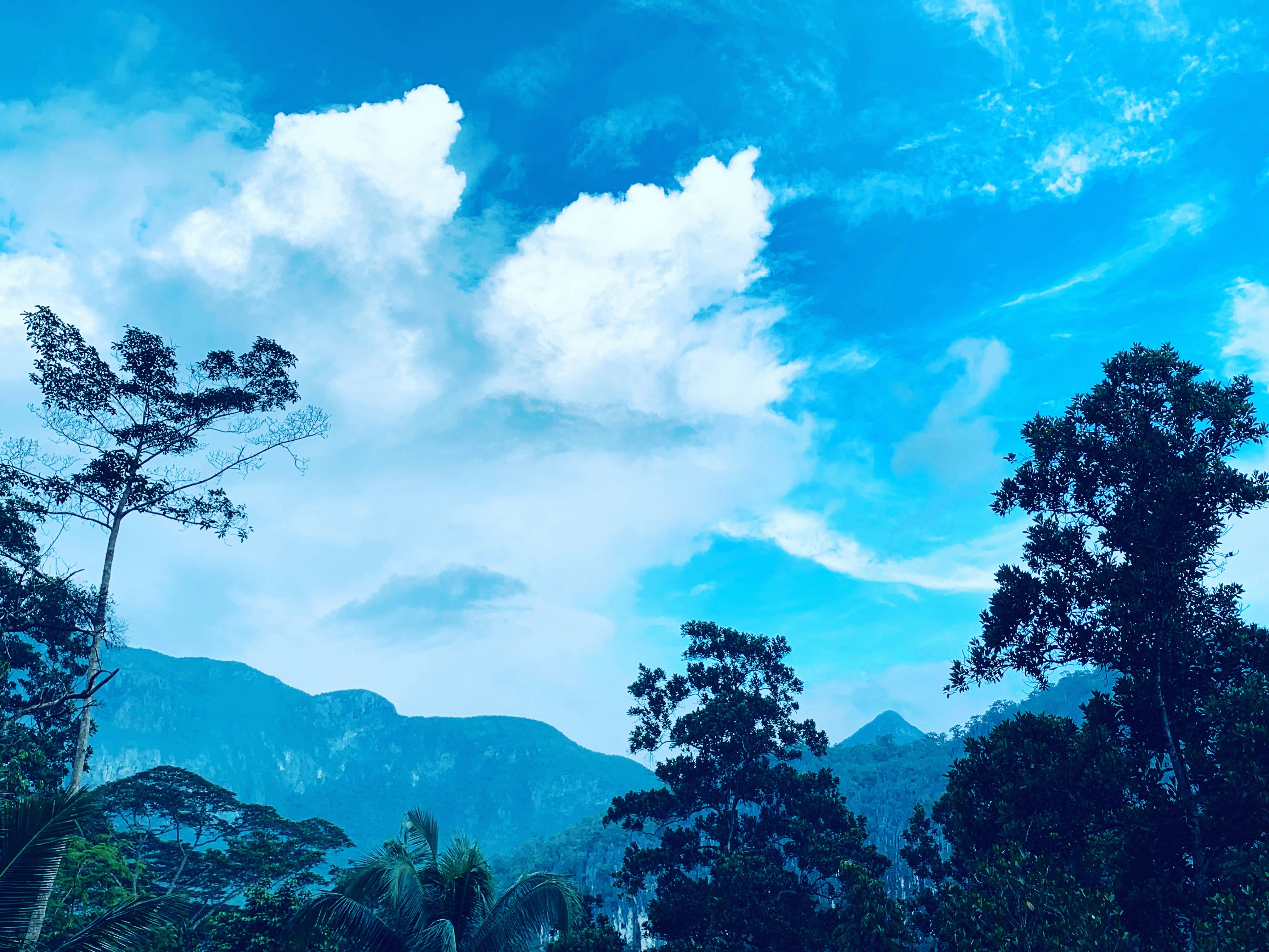 Photo by mark_favila