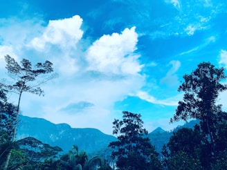 A serene landscape from an anime background, blending nature and fantasy.