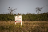 An owl perched on a sign in a grassy field with trees in the background. The sign indicates a protected environmental area and includes a drawing of an owl with cautionary text written in Portuguese.