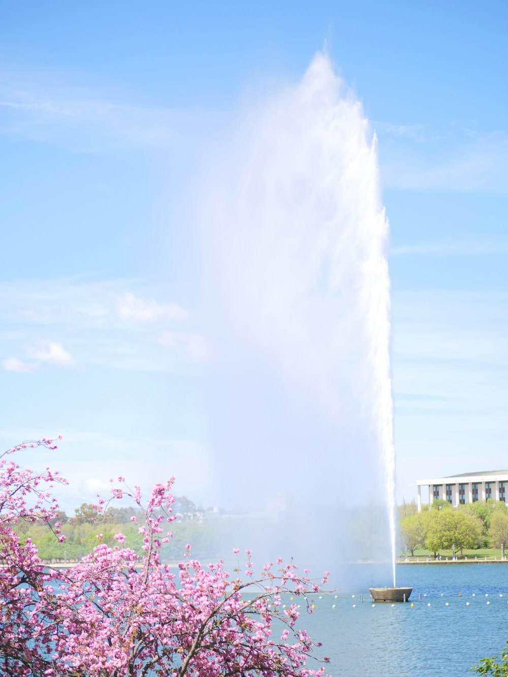 water fountain during daytime