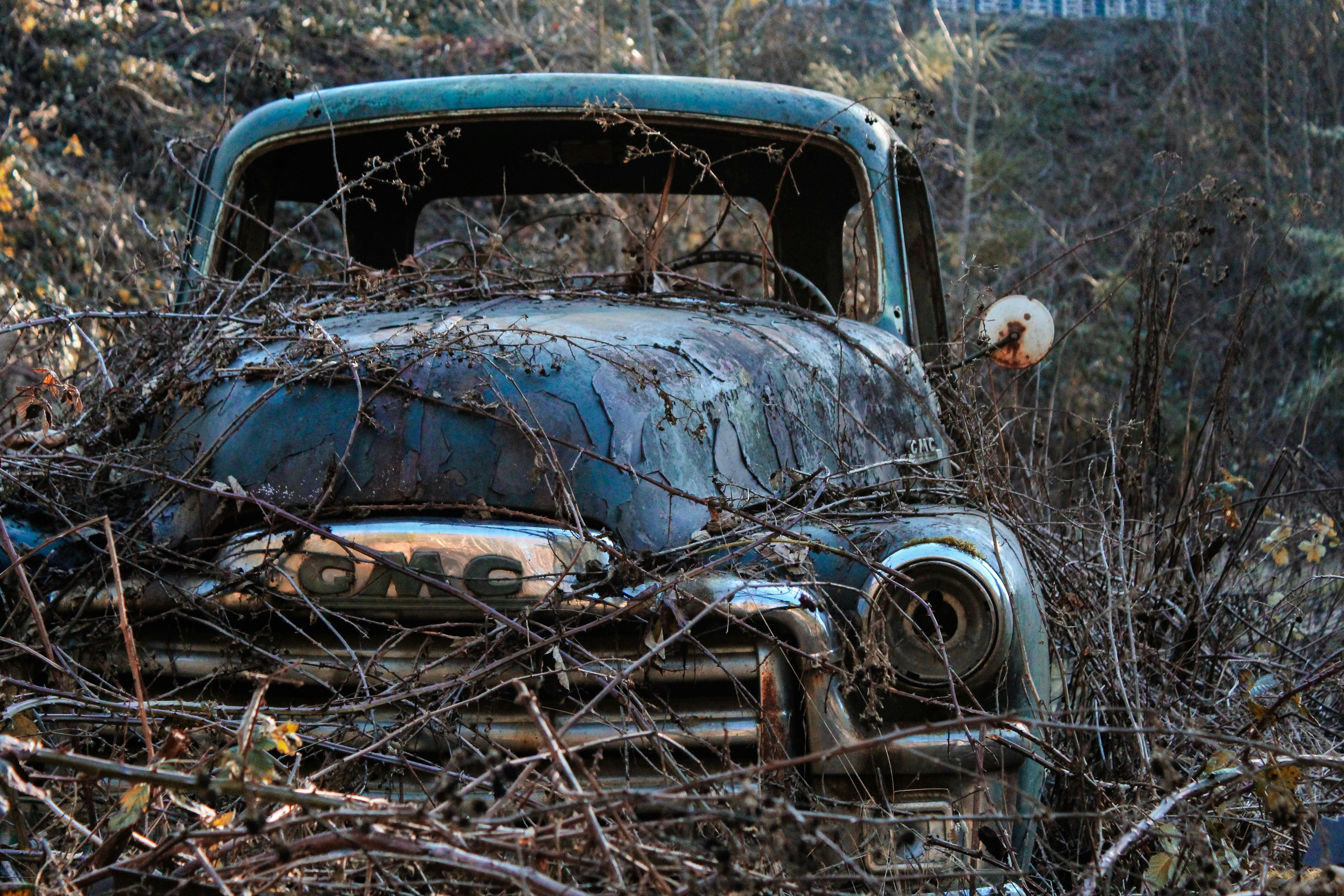 Photo by subm3rged_photography