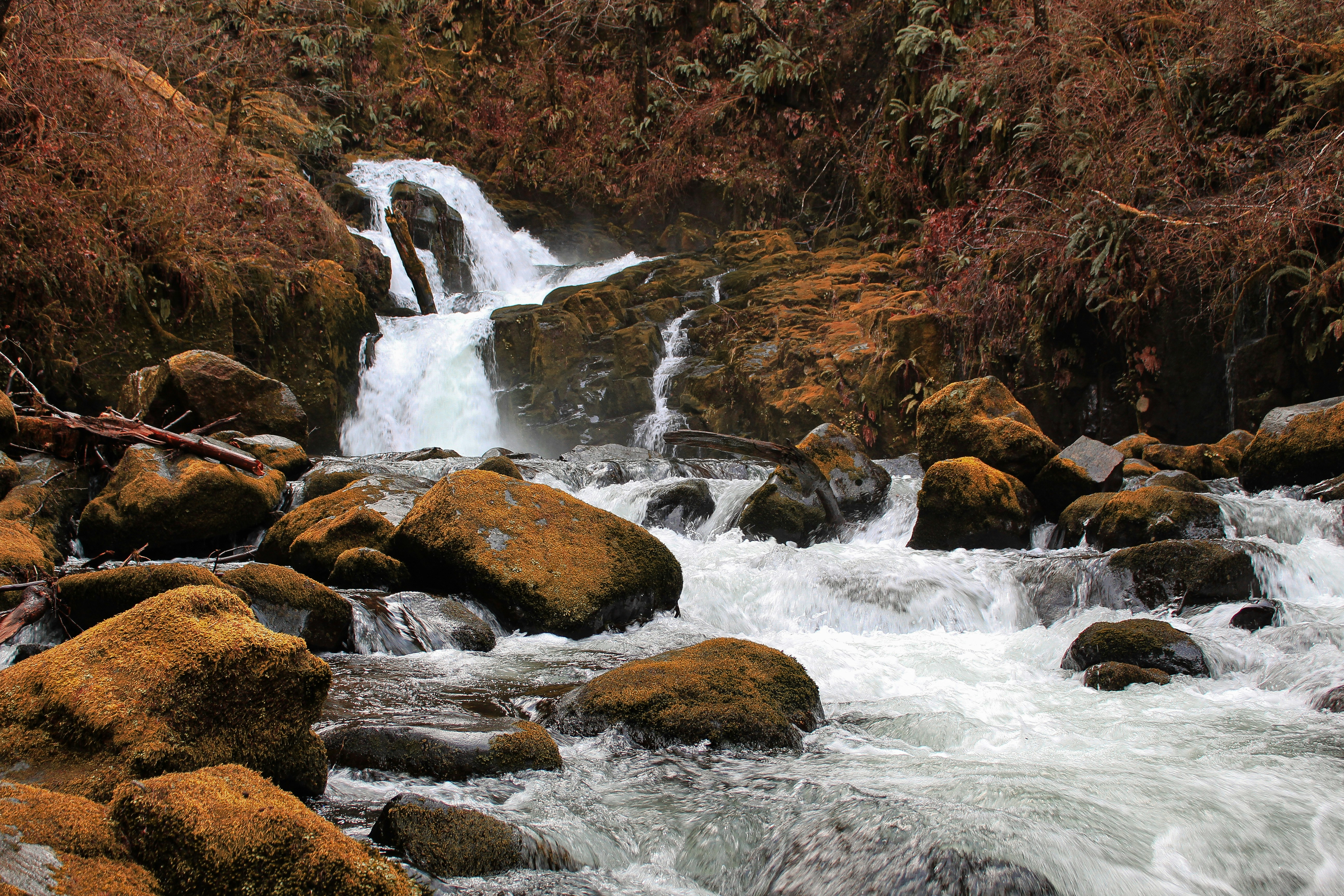 Photo by subm3rged_photography