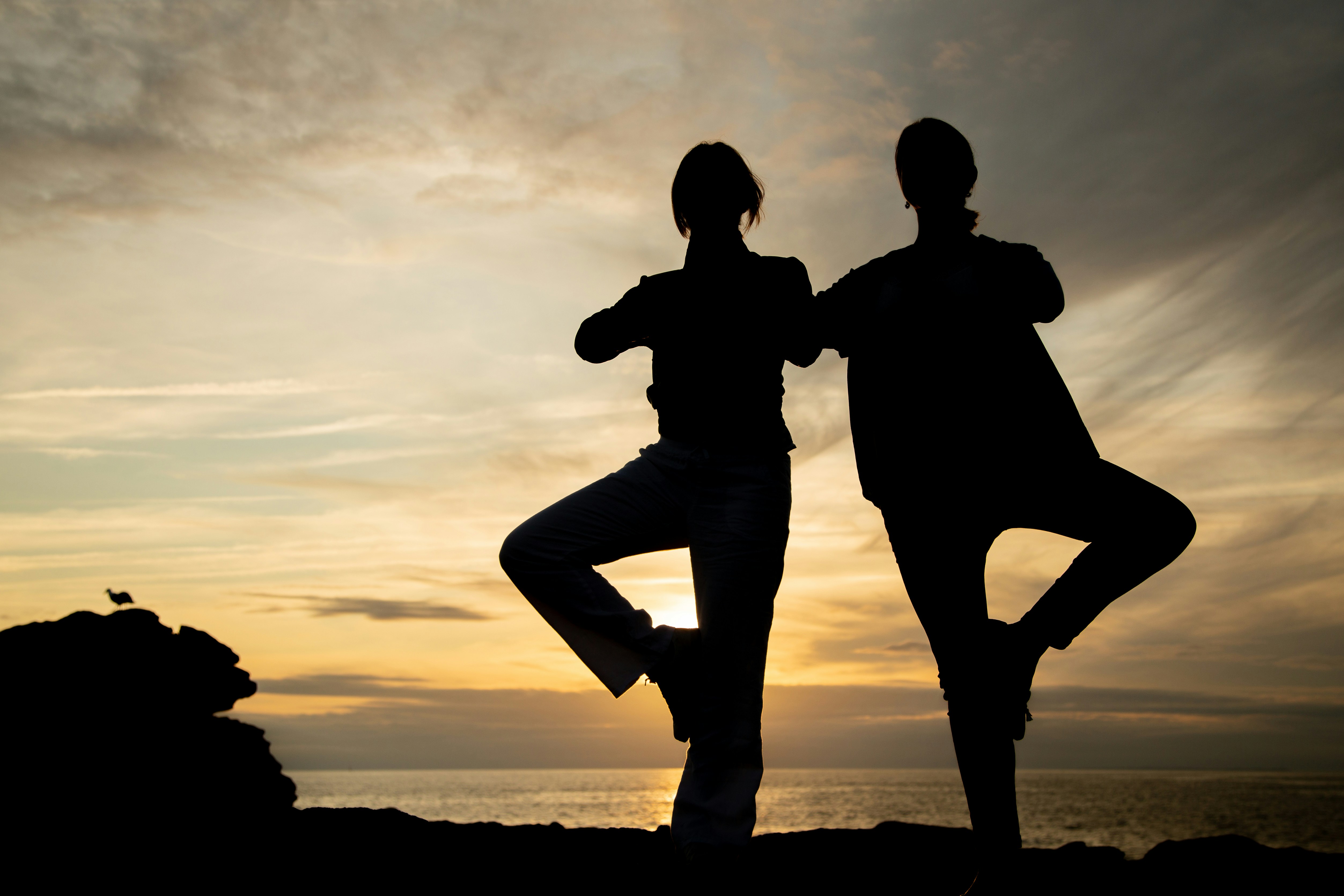 photo 1570585703002 220513e41e25?ixlib=rb 4.0