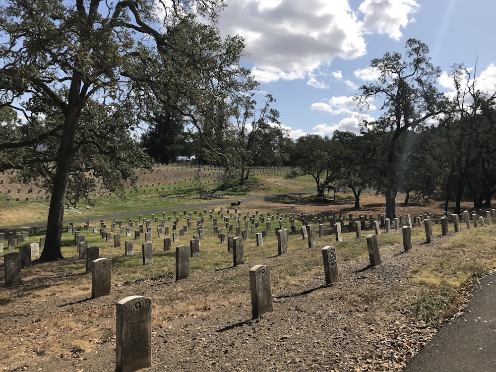 brown graveyard