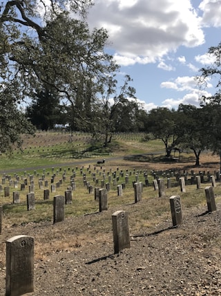 brown graveyard