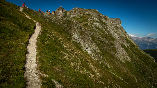 Hikers enjoying a sunny trail with alpine meadows and rustic mountain huts.