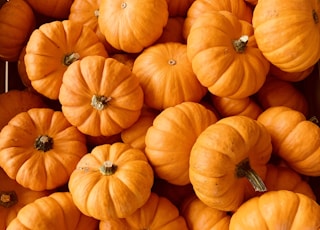 ile of orange pumpkins