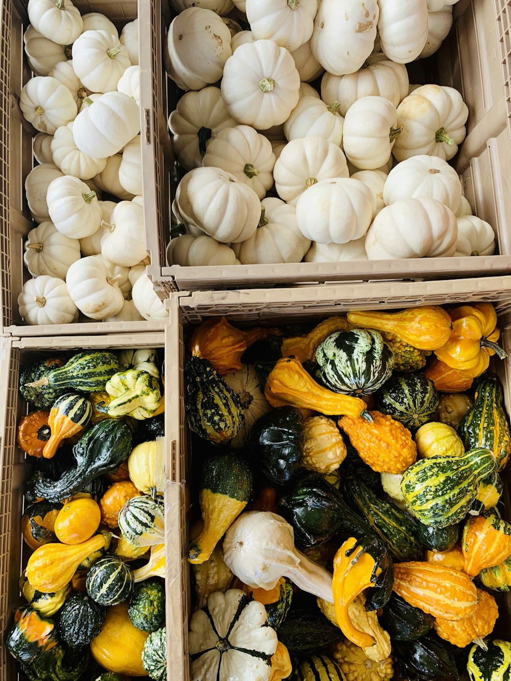 boxes of variety colored pumpkins