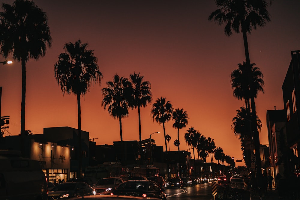 vehicles passing by a road during golden hour