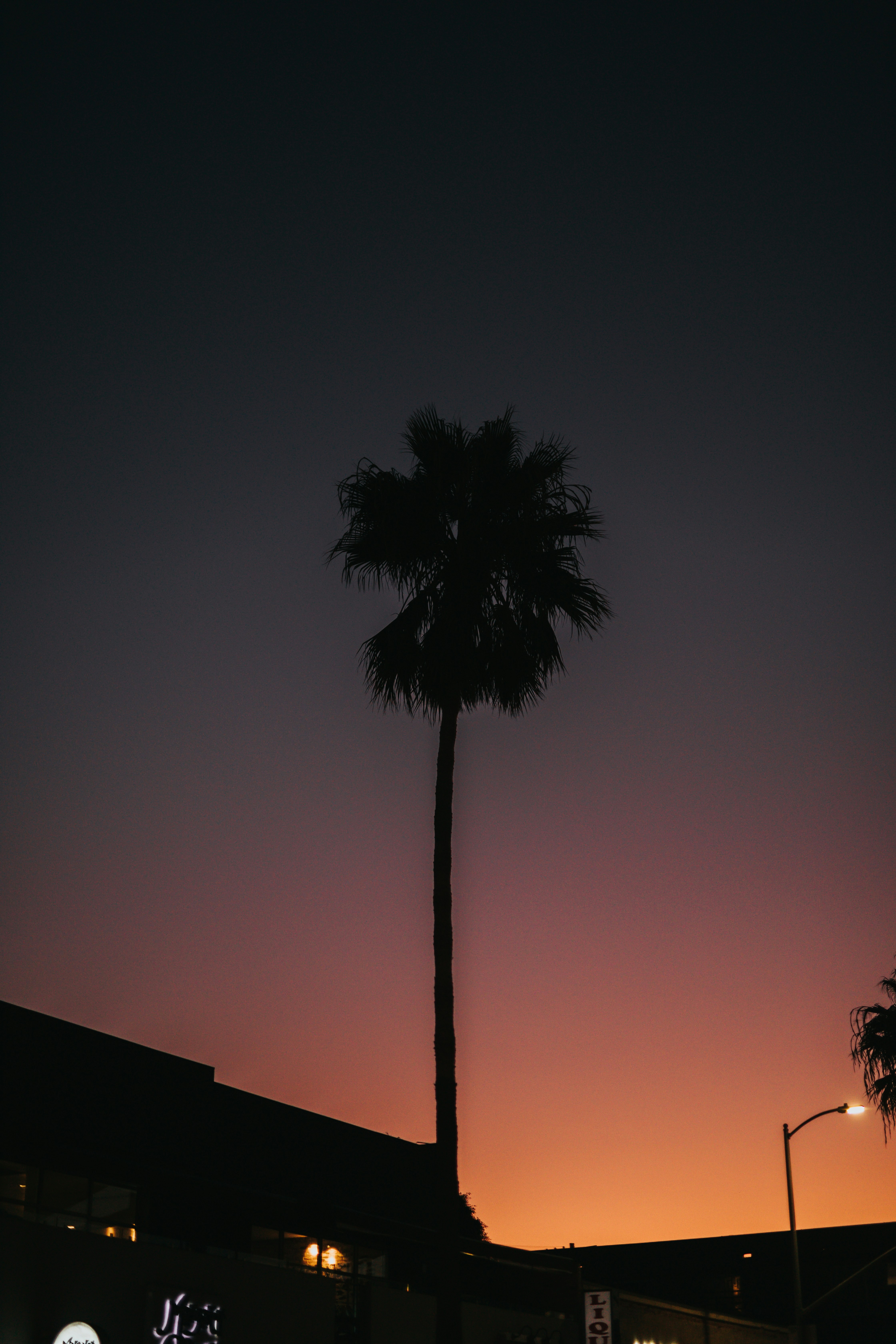 Photo by nate_dumlao