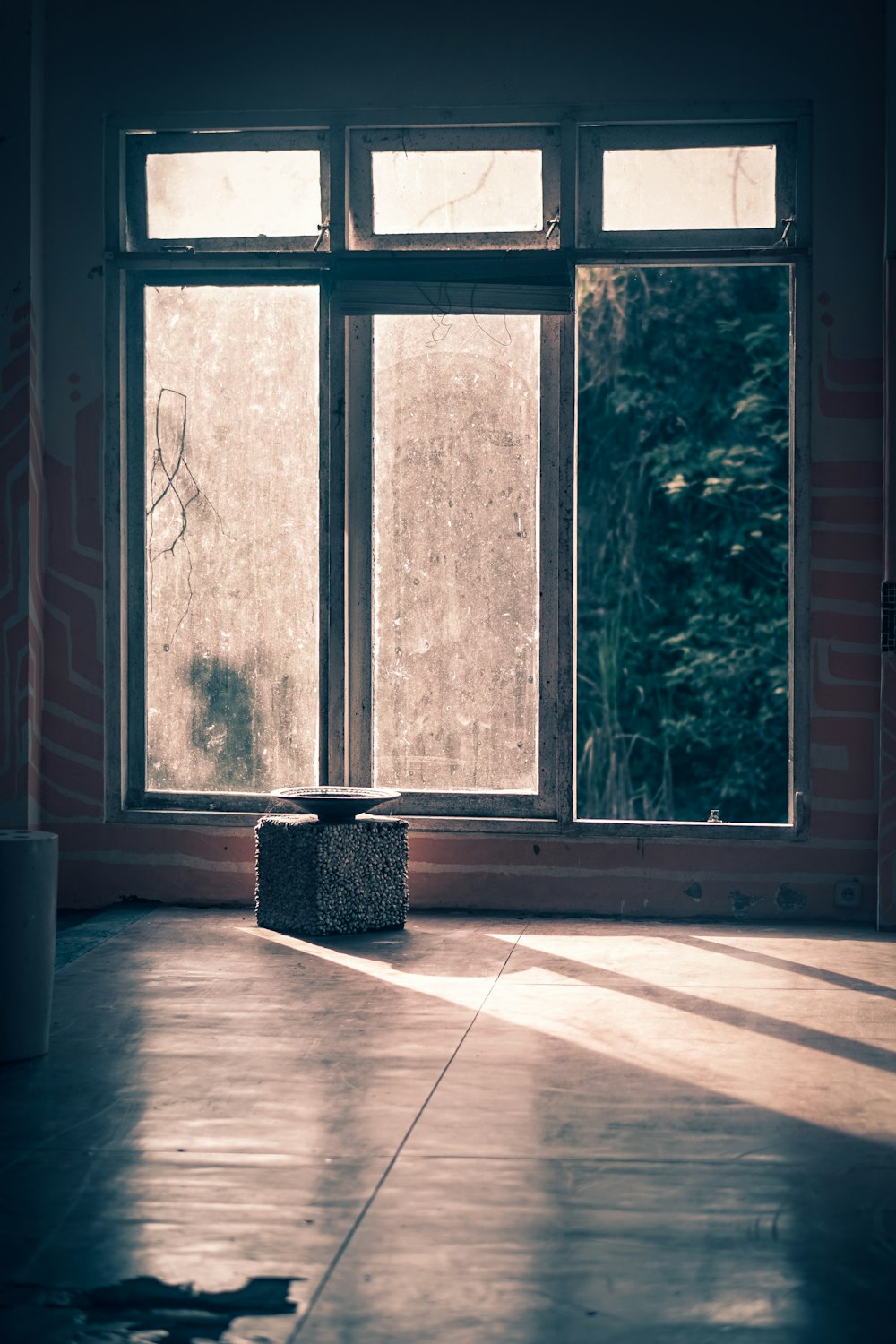 a room with a large window and a plant on the floor