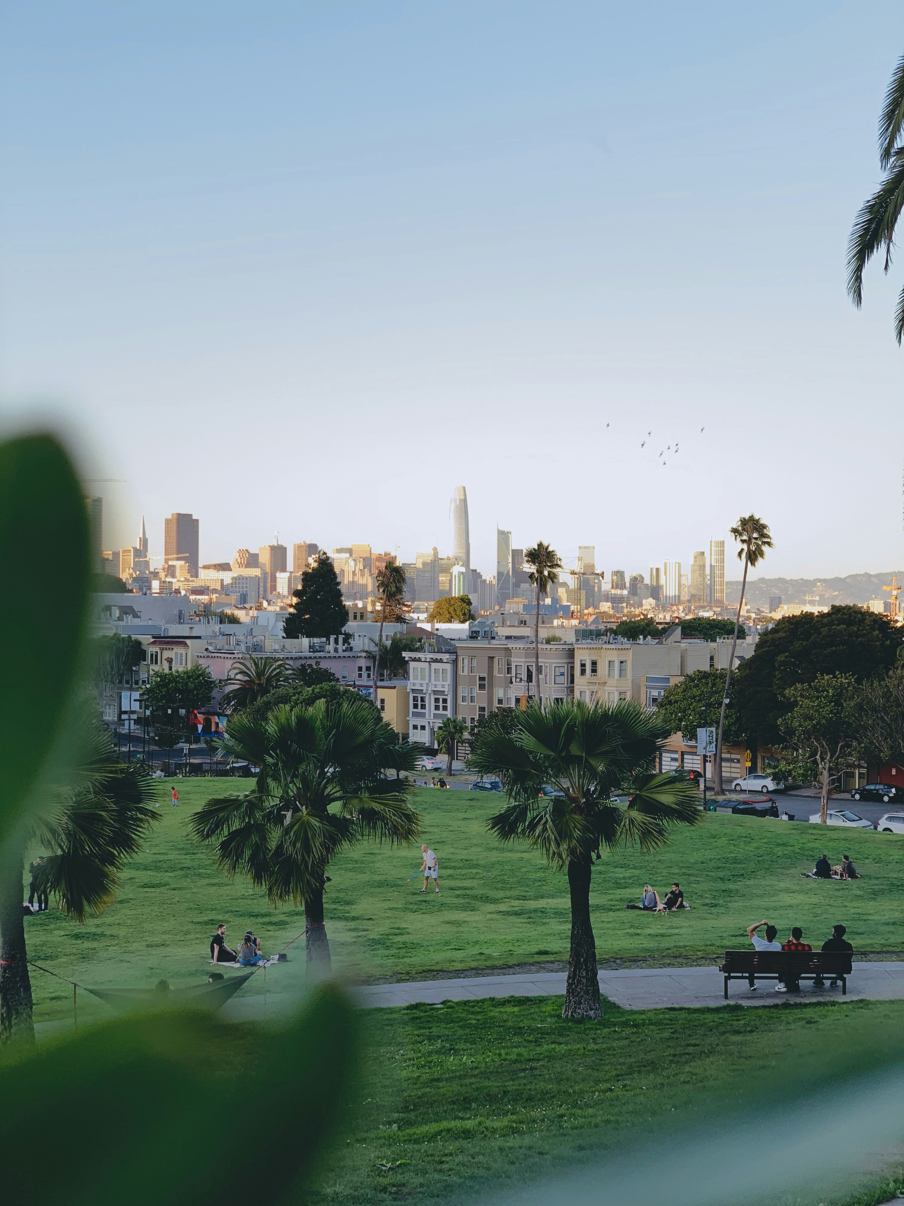 公園のハイアングル写真の写真 Unsplashで見つける緑の無料写真