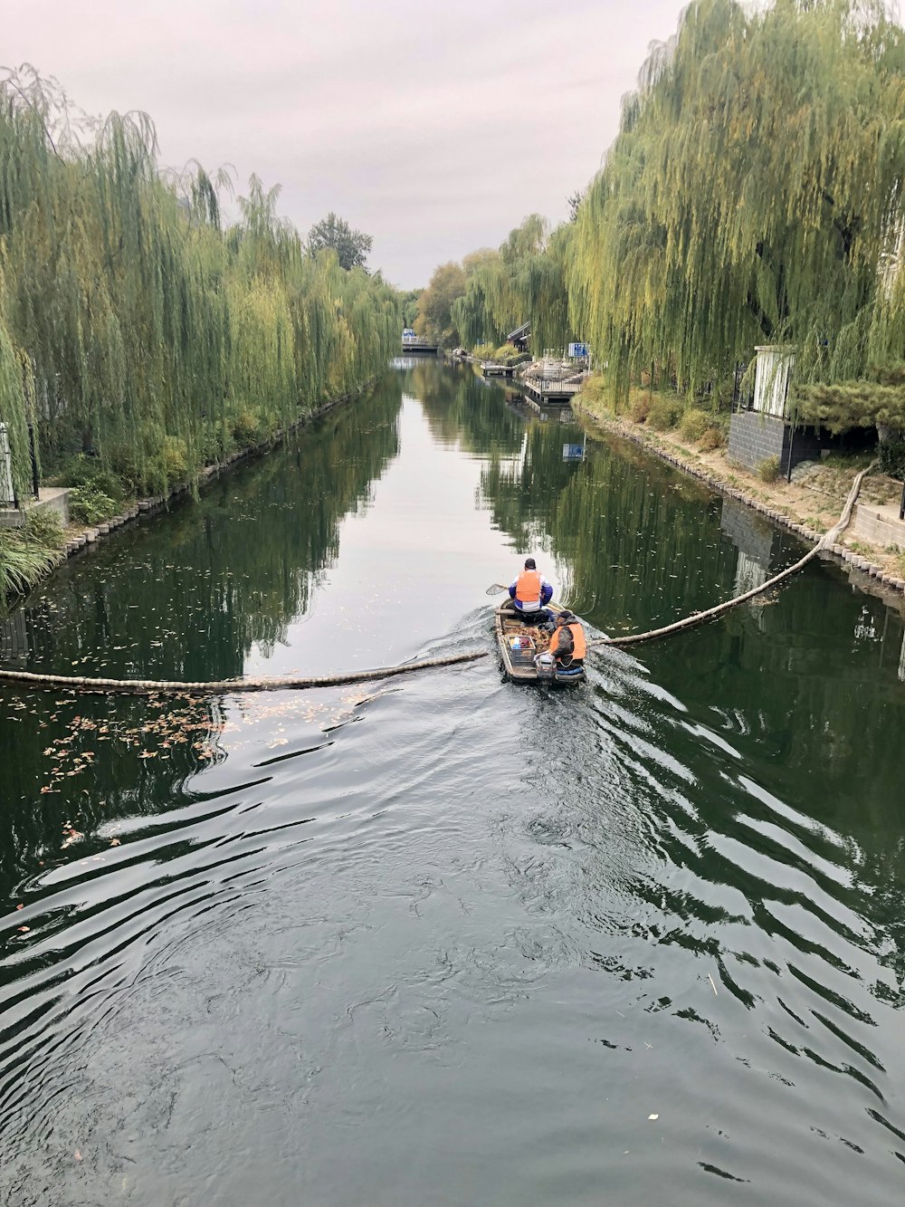 person riding boat near green-leafed trees