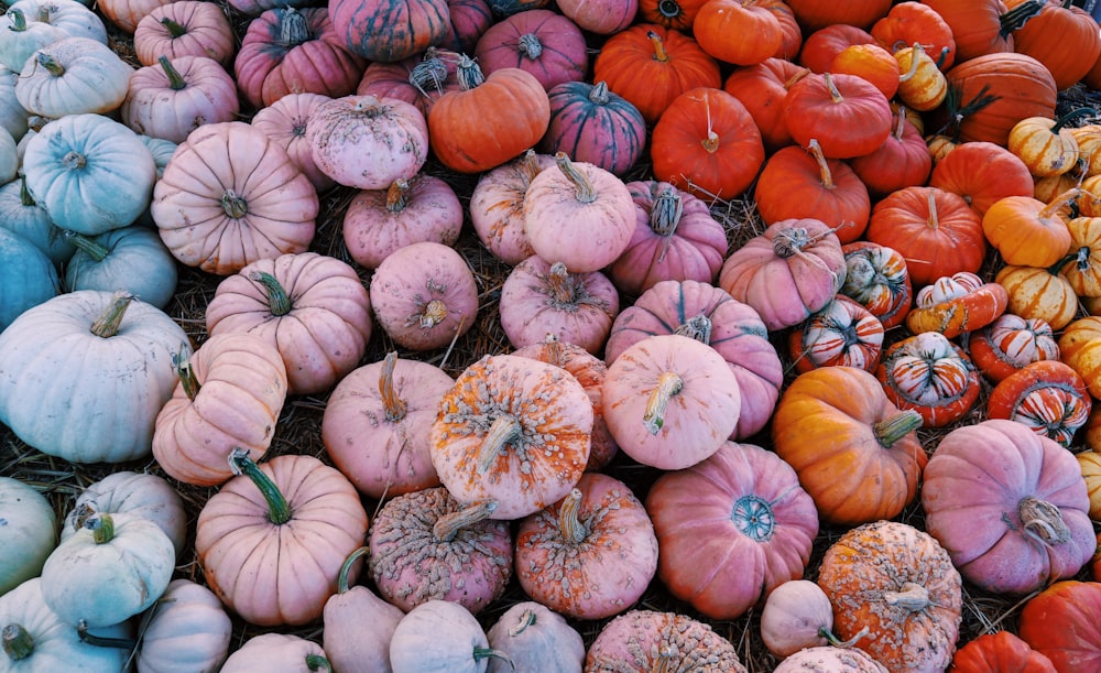 orange pumpkins