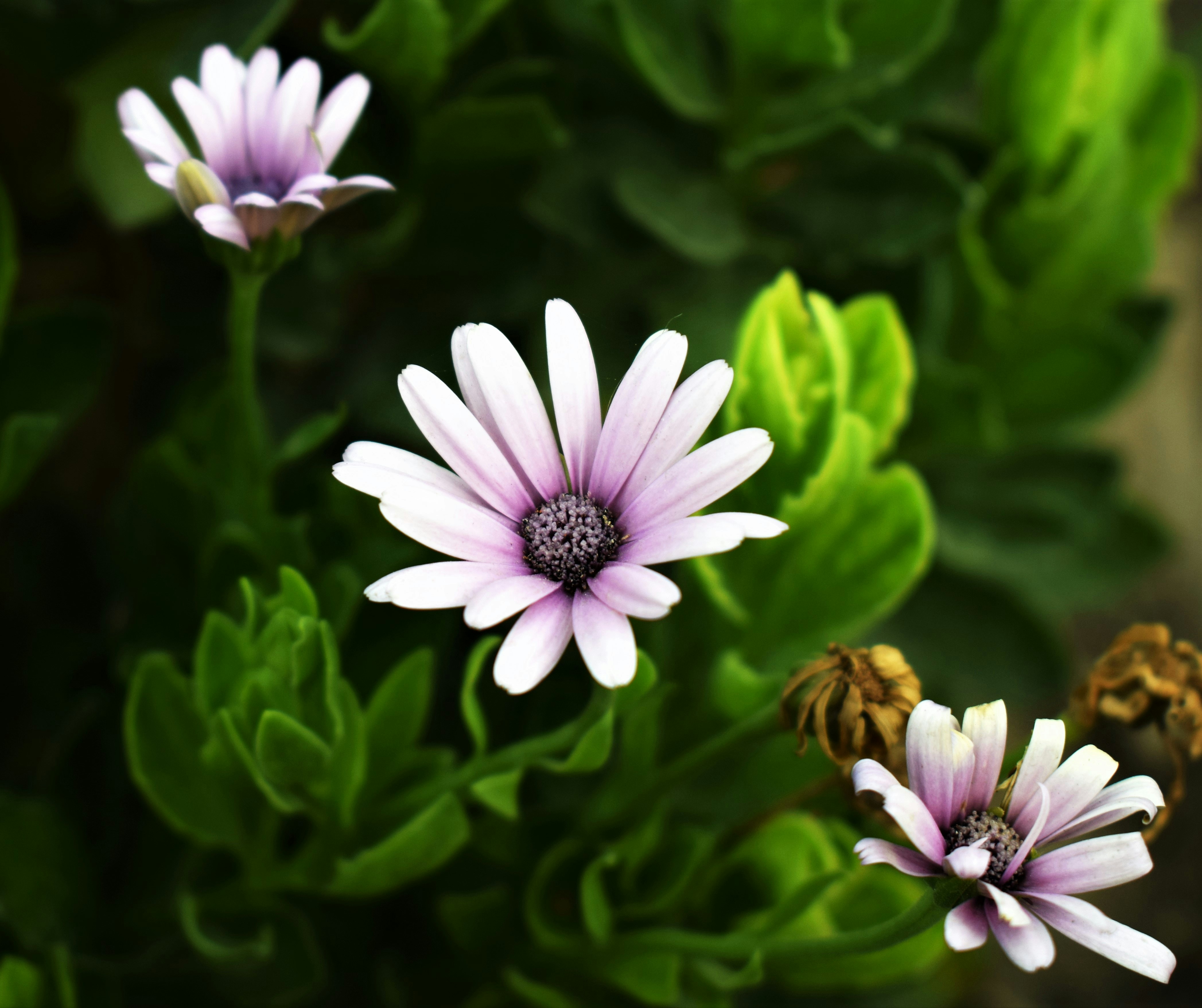 Photo by akspatial