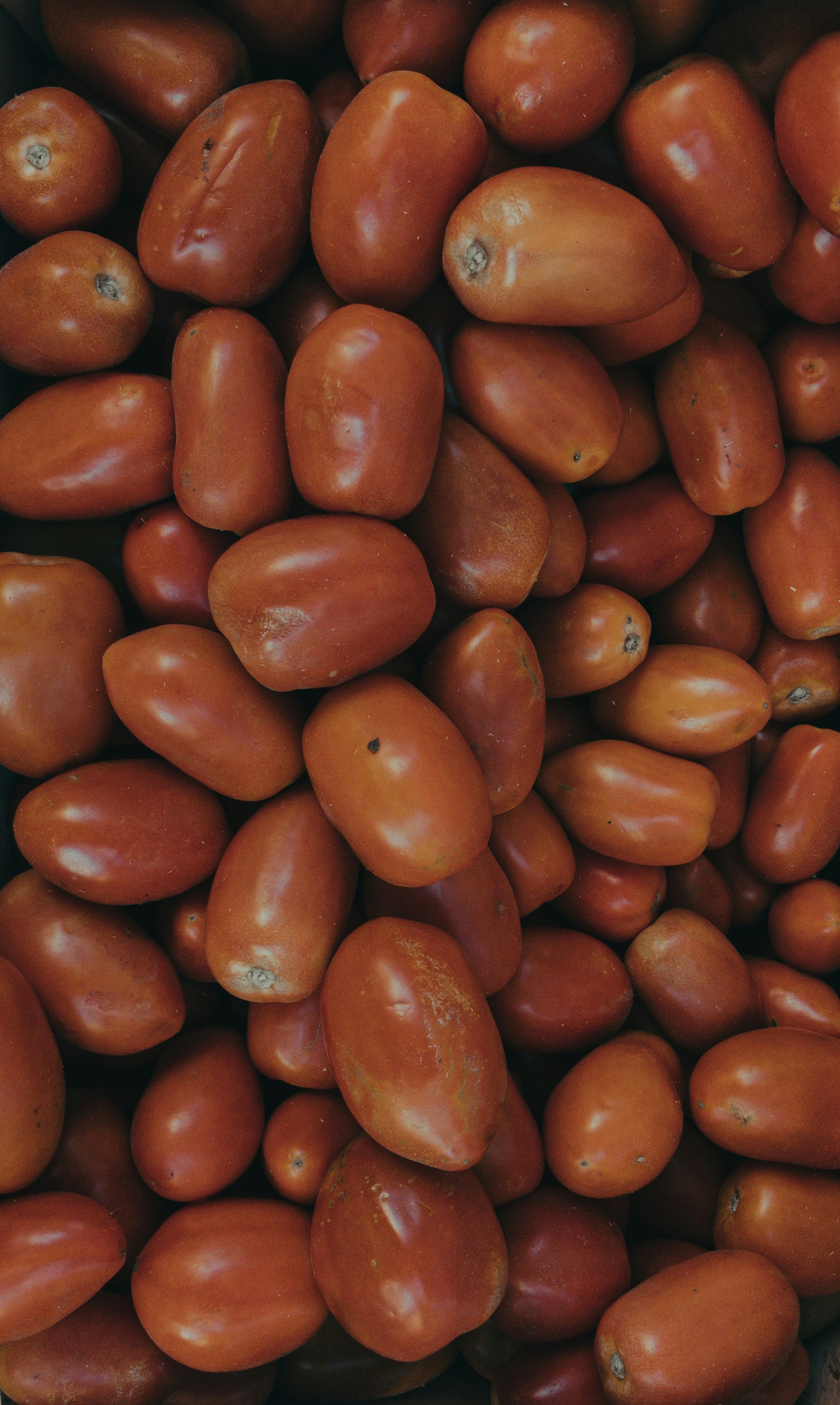 Photo by mindistrict