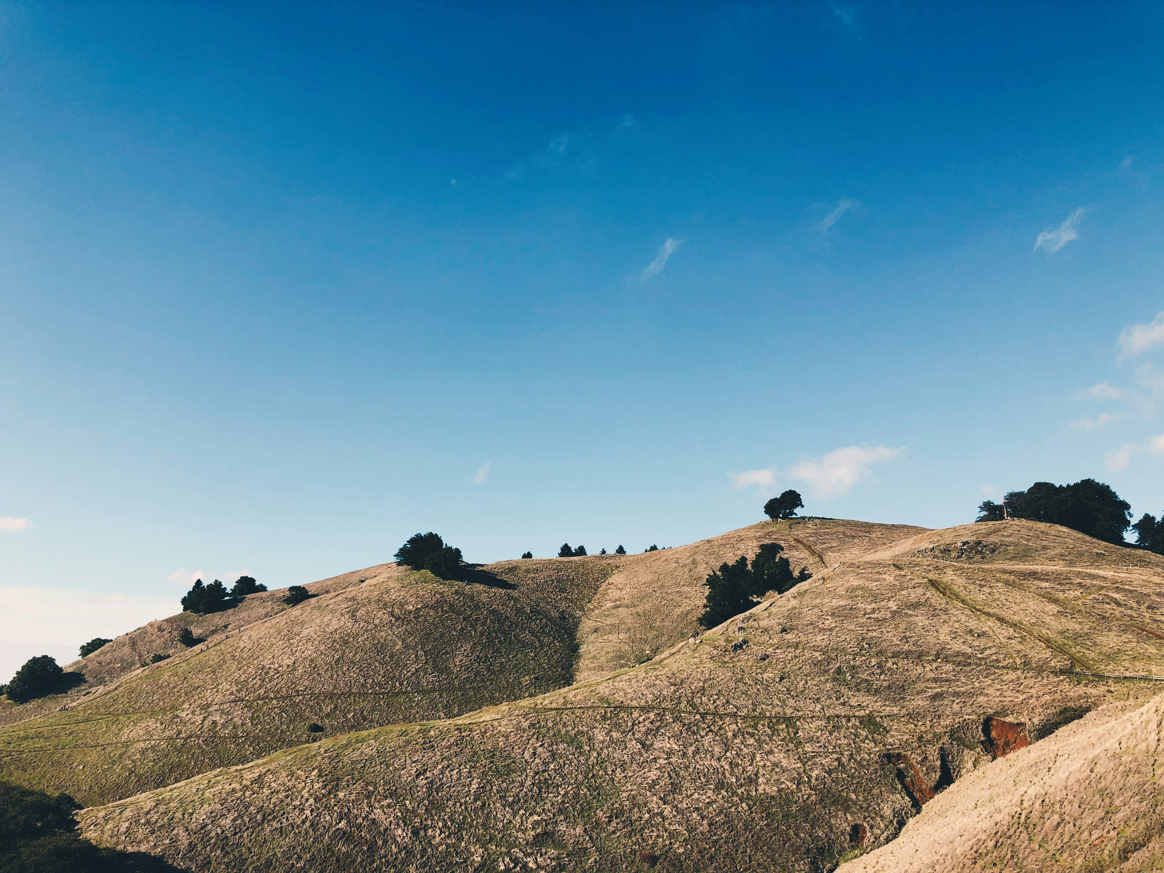 Photo by frankzphoto