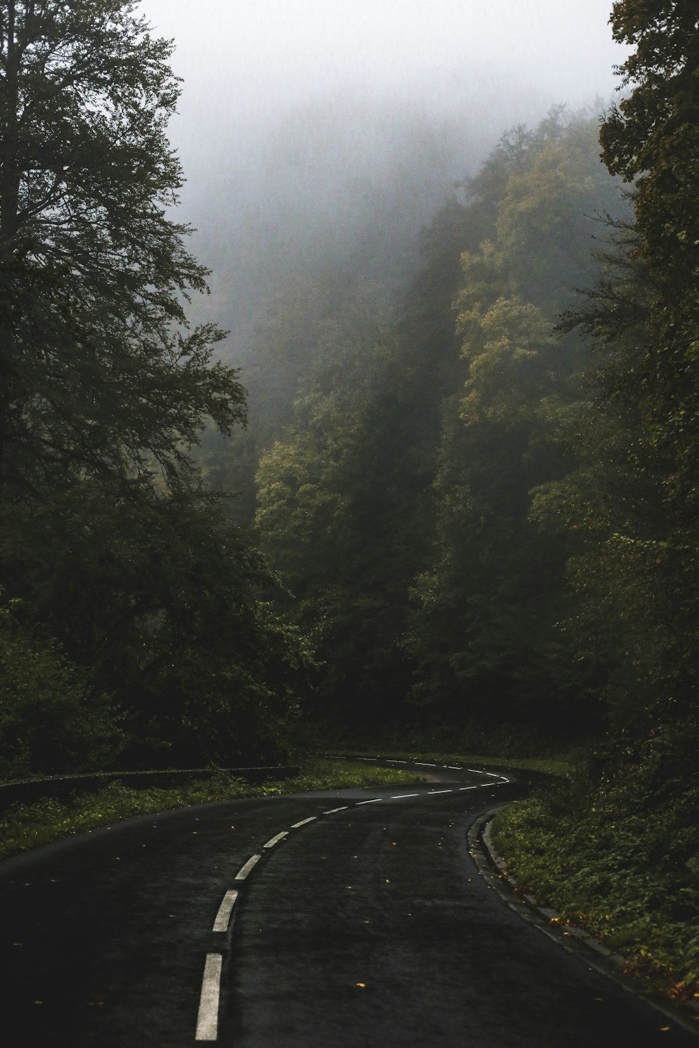 white clouds on road