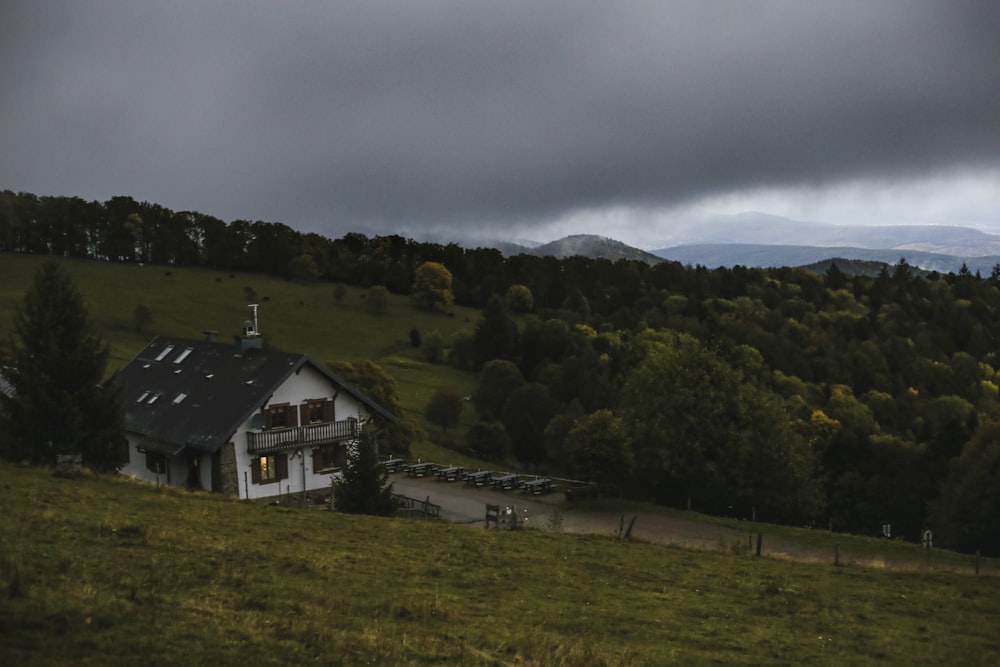 white and gray house