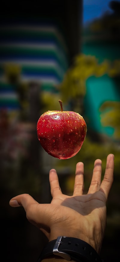 A White Witch's Guide to Apple Picking