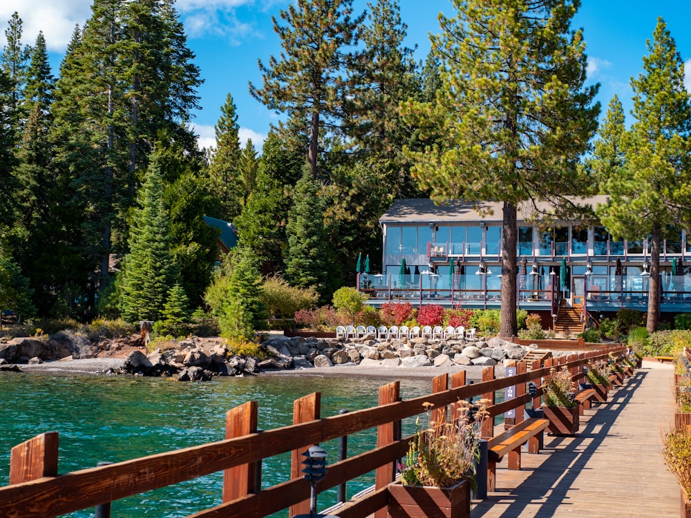 blue structure near body of water and beside trees