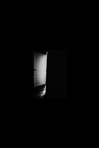 Noir Luxe Door