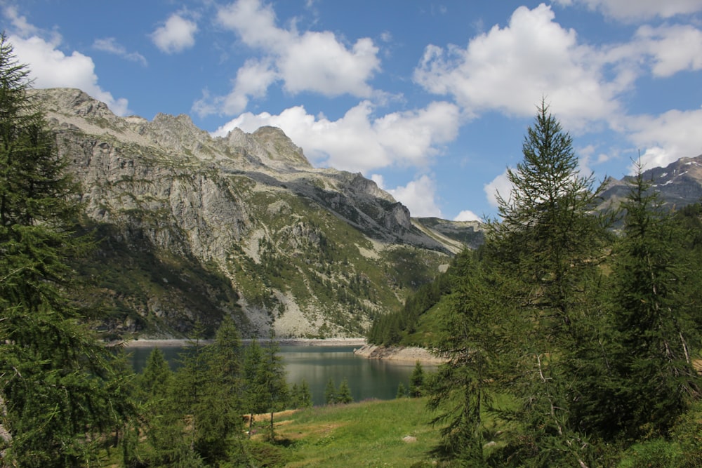 uma vista de um lago de montanha cercado por árvores