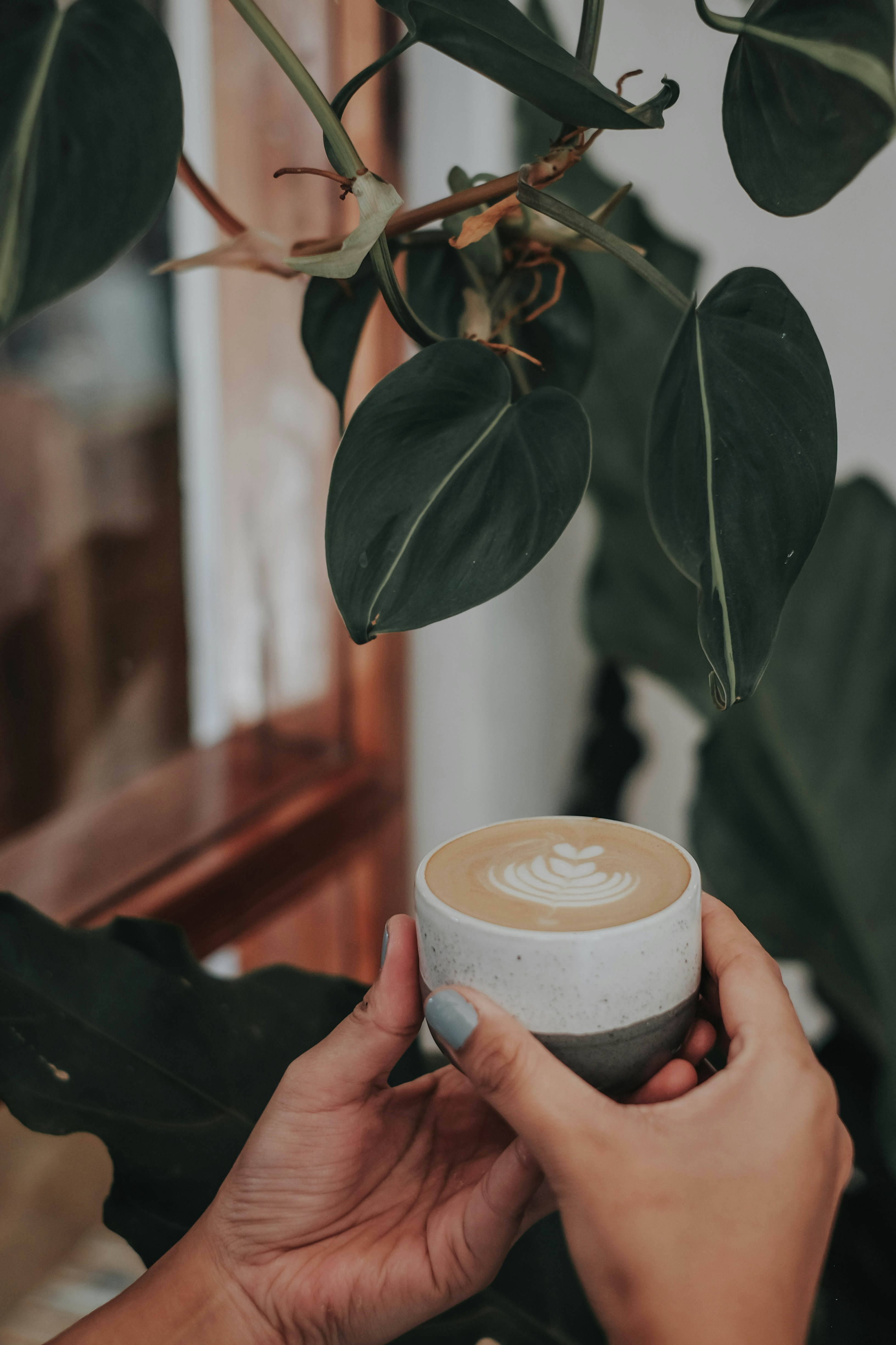 Photo by udiasaransi