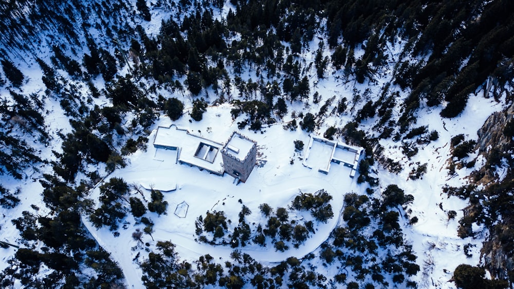 aerial photography of building near trees