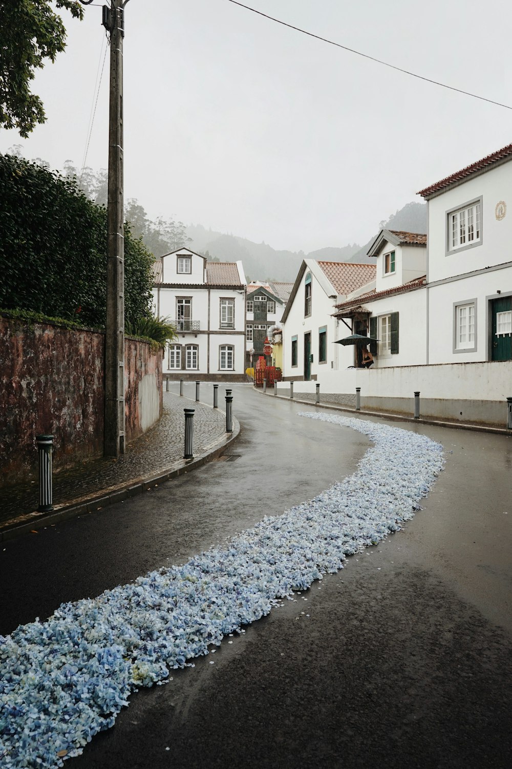 road with blue ornaments beside houses