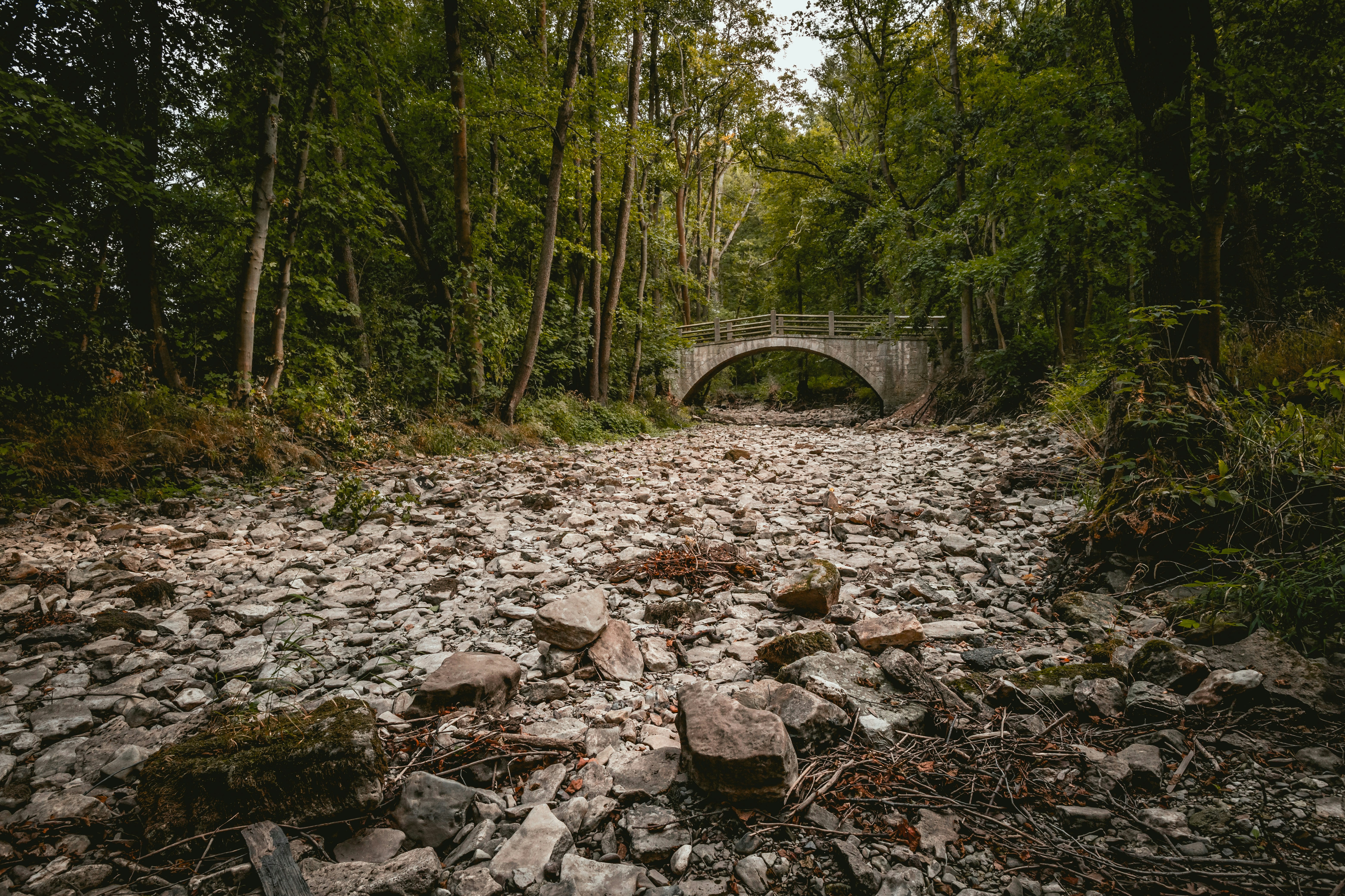 Photo by niklas_hamann