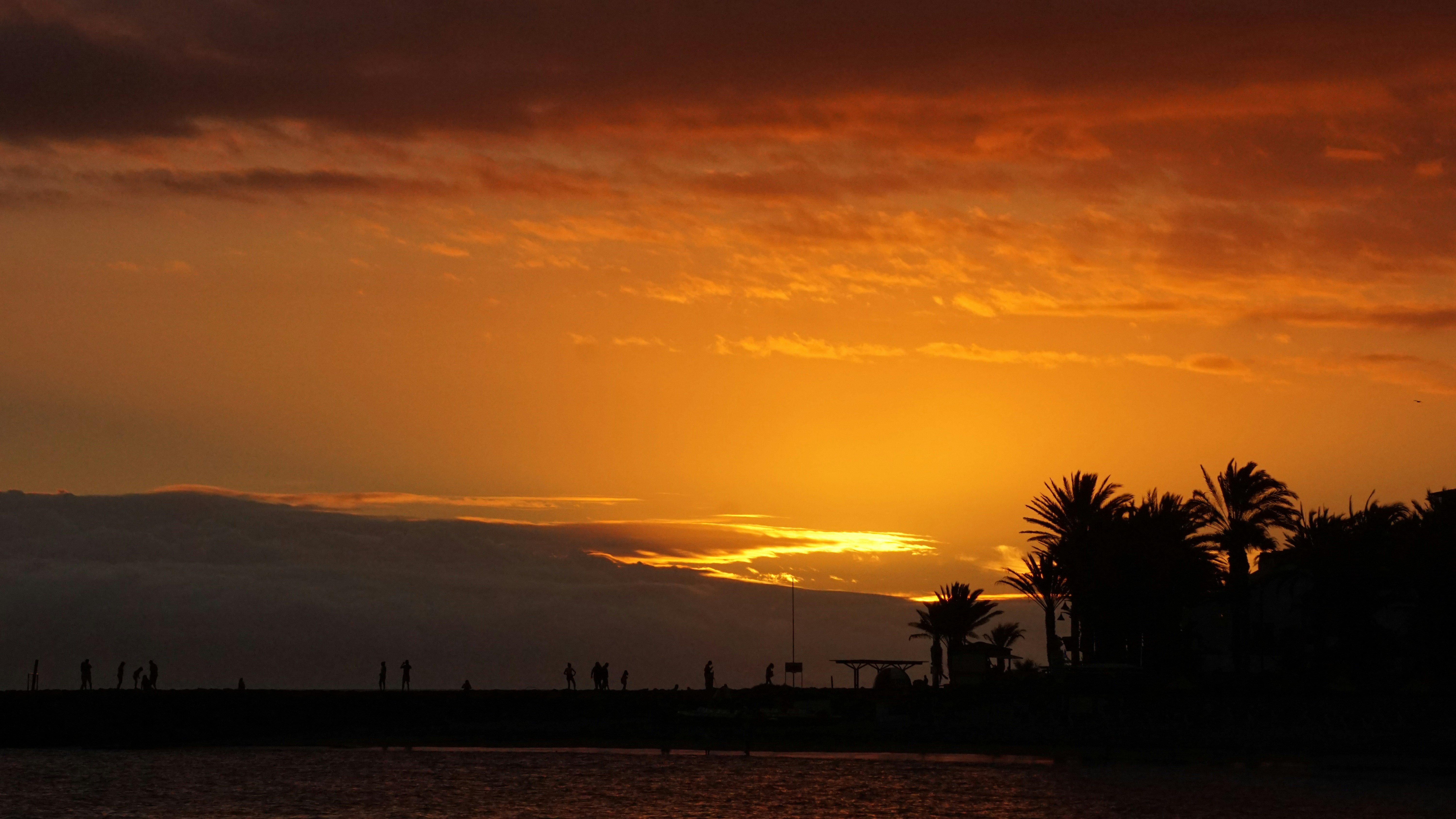 Photo by wimvandenbelt