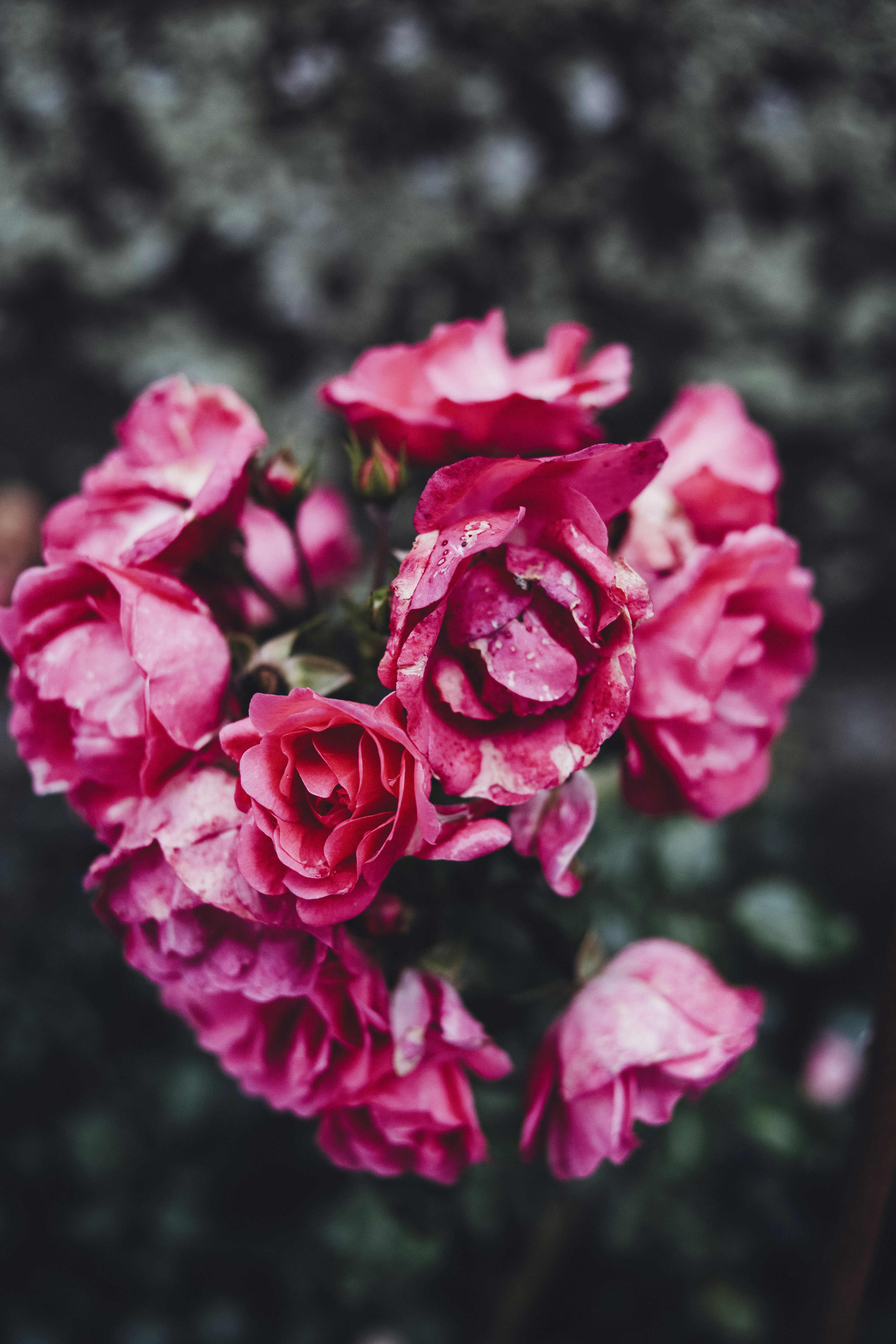 Photo by markusspiske