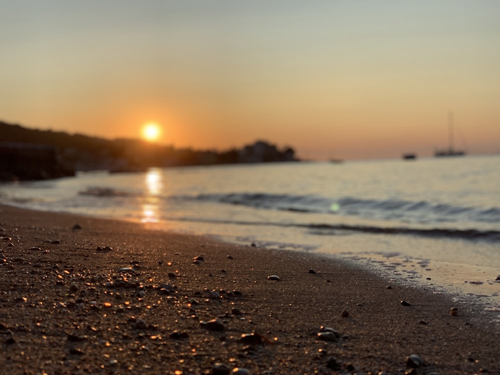 seashore during sunset