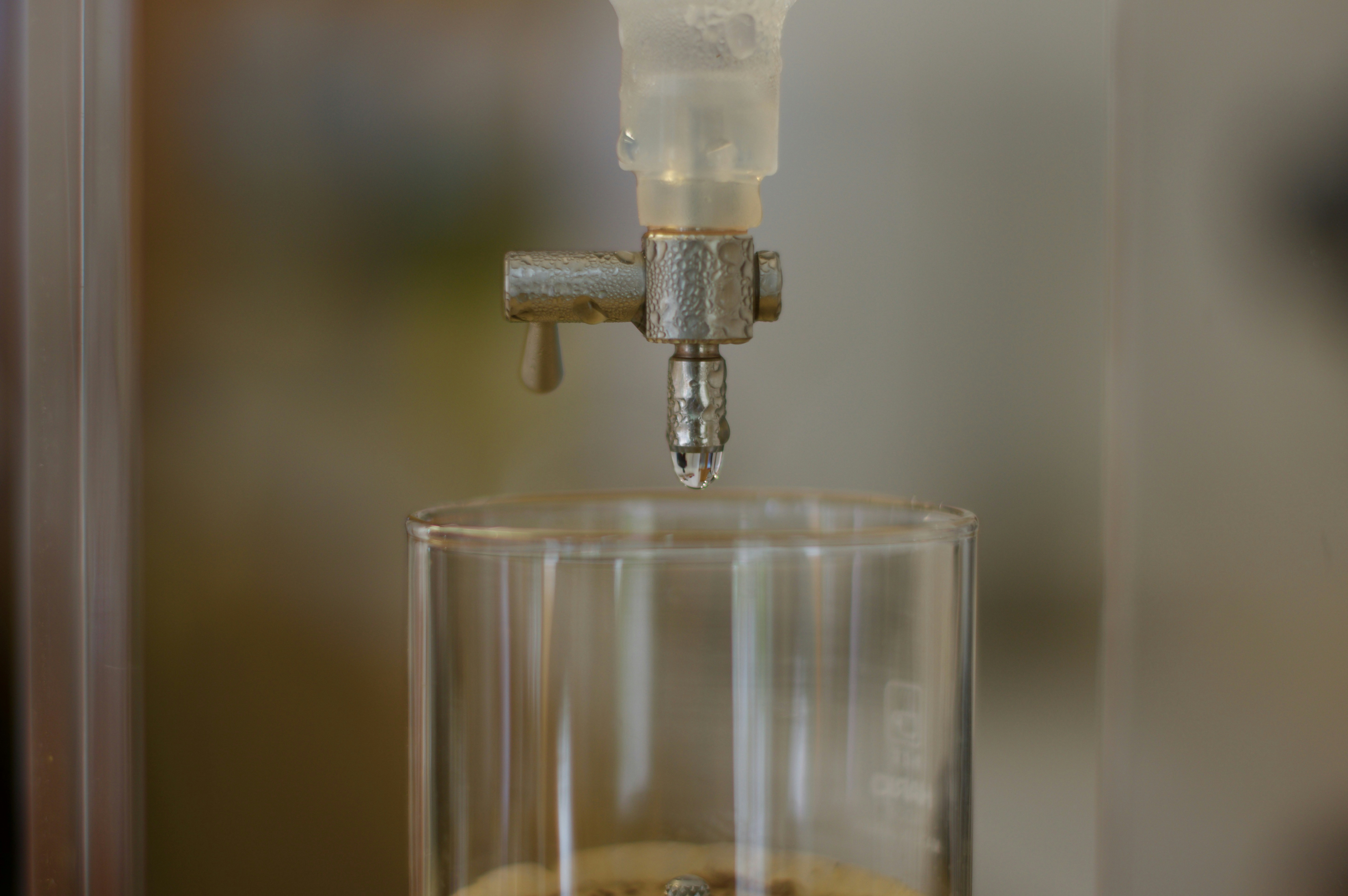 Live Resin Primer Extraction Quality flavor ‌Preservation and Cost effective Serving Tips