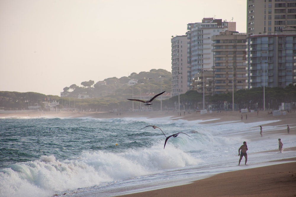 Personnes sur la plage