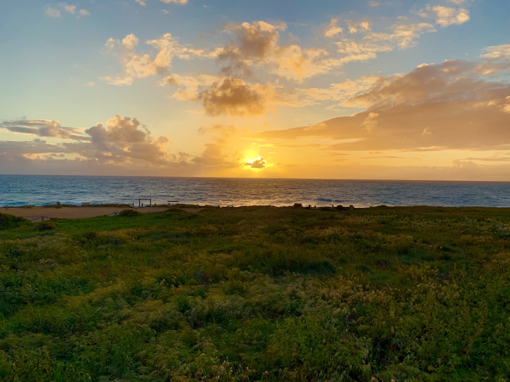 seashore during sunset