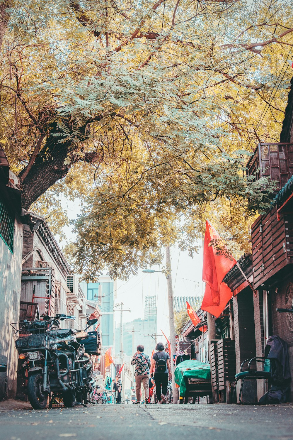 motorcycle parked near tree